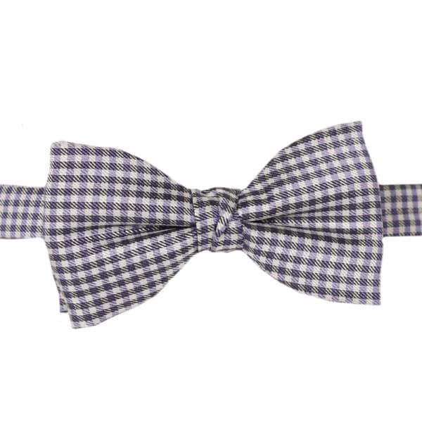 Purple checkered bow tie warwicks1