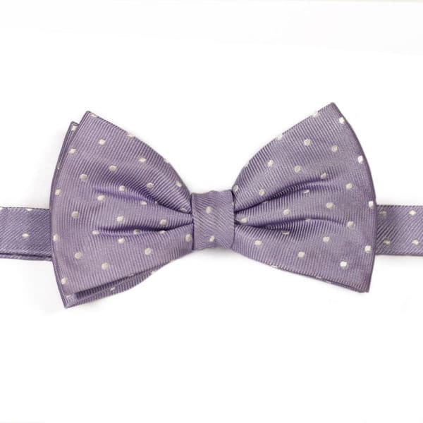 Purple polka dot bow tie warwicks1