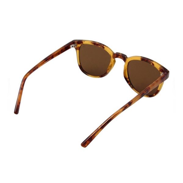 Warwicks Bate Demi Light Brown Tortoise Sunglasses 2