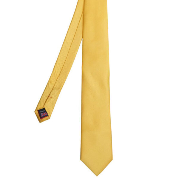 Van Buck Yellow Tie and Pocket Square Set